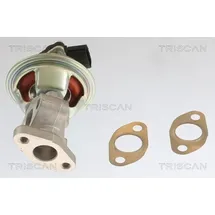 TRISCAN AGR-Ventil 8813 10054