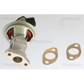 TRISCAN AGR-Ventil 8813 10054