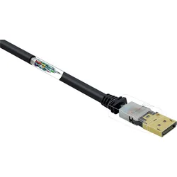 Renkforce DisplayPort Anschlusskabel 0.50 m