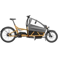 Riese & Müller Load4 60 touring O/S peanut matt