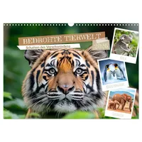 Calvendo Bedrohte Tierwelt SCHATTEN DES VERSCHWINDENS (Wandkalender 2026 DIN