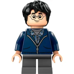 LEGO® - Harry Potter - hp495 - Harry Potter (76434)