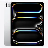 256 GB Wi-Fi + 5G silber