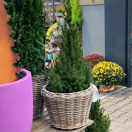 beck ag Rattan Ø 45 x 43 cm Grau