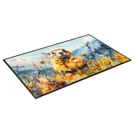 Wash+Dry Leander 50 x 75 cm Blau