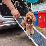 Famanu Hundetreppe - klappbar, rutschfest, robust