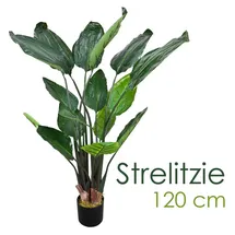 Decovego Kunstpflanze Strelitzie, Paradiesvogelblume, im Topf, Höhe 120 cm