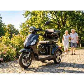 ECONELO Seniorenmobil P1000 25 km/h 1000 Watt Schwarz