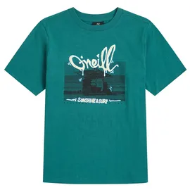 O'Neill Slub Graphic Kurzarm-T-Shirt Botanical Heat 7-8 Jahre