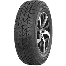 Maxxis WP-05 Arctictrekker 185/60 R14 82H