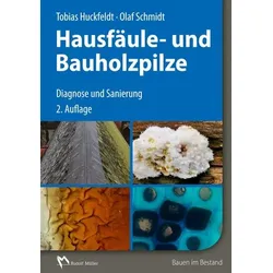 Hausfäule- und Bauholzpilze