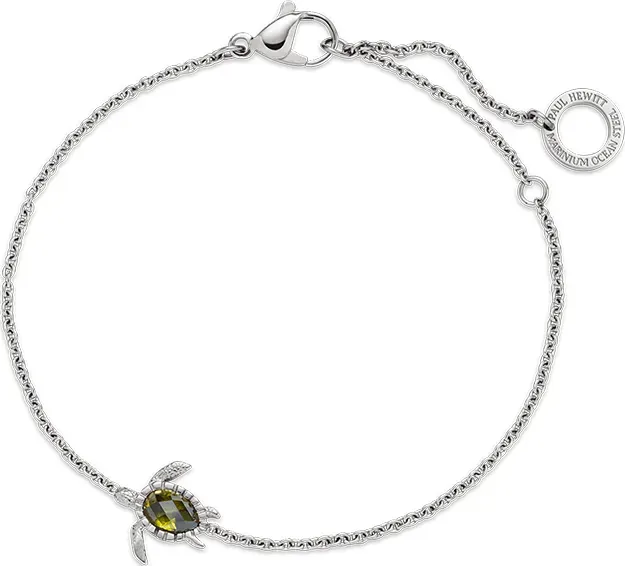 PAUL HEWITT - ARMKETTE - TURTLE MONO - silber