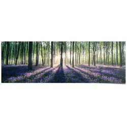 Poster REINDERS "Glockenblumen im Wald", lila (farbe bild(er): lila), B:158cm H:53cm, Papier, Bilder
