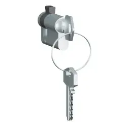 Legrand 069795 Halbzylinder 40mm, gleiche Schließung, geliefert mit 3 Schlüssel