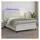 vidaXL Boxspringbett mit Matratze & LED Weiß 140x200 cm Kunstleder