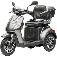 ECONELO Seniorenmobil P1000 25 km/h 1000 Watt Grau