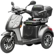ECONELO Seniorenmobil P1000 25 km/h 1000 Watt Grau