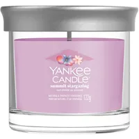 Yankee Candle Summit Stargazing Duftkerze 122 g rosa