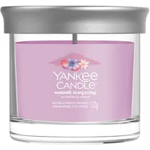 Yankee Candle Summit Stargazing Duftkerze 122 g rosa