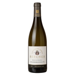 Burkheimer Feuerberg Grauburgunder, VDP Erste Lage Weingut Bercher 2022