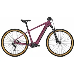 Focus Jarifa2 6.7 Cassis-XL