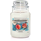 Yankee Candle Duftkerze Großes Glas Pomegranate Coconut 538 g, weiß