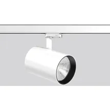 RZB LED-Stromschienenstrahler 742225.002.3.76