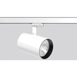 RZB LED-Stromschienenstrahler 742225.002.3.76