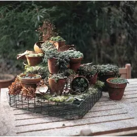 Betafence Deutschland GmbH Casanet grn 5m-Kurzr 12,7x0,65/1,0x 500