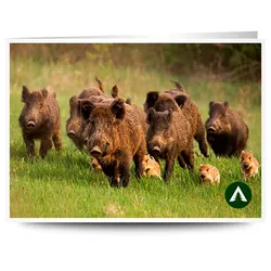 Geschenkgutschein zum Drucken