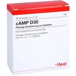 cAMP D30