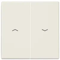 Jung Wippe Symbole ws für Taster LS 995 P