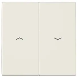 Jung Wippe Symbole ws für Taster LS 995 P