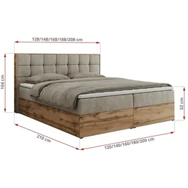 MKS Albero 1 120 x 200 cm H4 Beige
