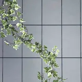 Siena Garden Spalier 4-strebig 150 x 60 cm Grün