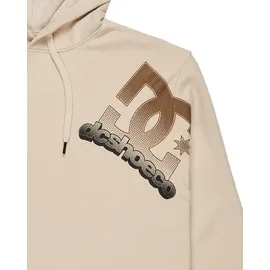 DC Shoes Hoodie beige XS
