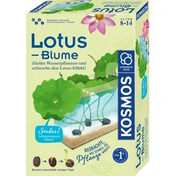 KOSMOS Lotusblume