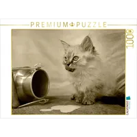 Calvendo Lecker Puzzle