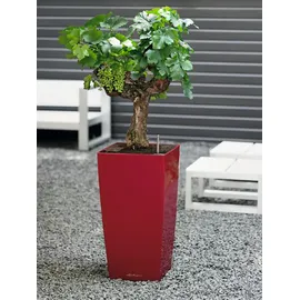 LECHUZA Cubico 30 Komplettset 30 x 30 x 56 cm scarlet rot hochglanz