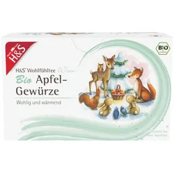 H&S Wintertee Bio Apfel-Gewürze Filterbeutel 20X2.0 g