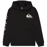 QUIKSILVER Omni Logo Black 146