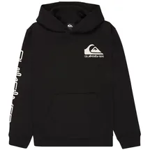 QUIKSILVER Omni Logo Black 146