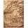 RugsX Teppich Bcf Morad PIEN Baum Holz - beige 300x400 cm,