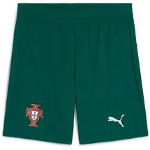 Puma Portugal Short 2023/24 grün Herren Gr. M