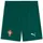 Puma Portugal Short 2023/24 grün Herren Gr. M