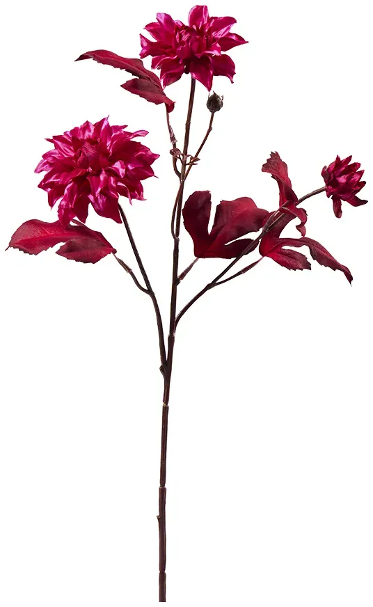 Dahlie x3 60cm beauty