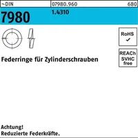 OEM Federring DIN 7980 f.Zylinderschrauben 5 1,4310 1000 Stück