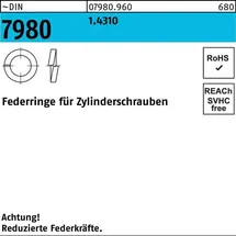 OEM Federring DIN 7980 f.Zylinderschrauben 5 1,4310 1000 Stück