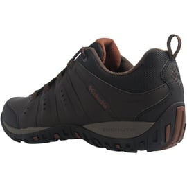 Columbia Woodburn II WP wasserdichte Wanderschuhe für Herren, Braun (Cordovan Cinnamon), 46