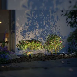 Paulmann LED-Erdspieß Plug&Shine Kunststoff